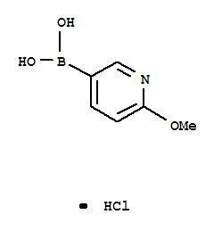 2-甲氧基吡啶-5-硼酸盐酸盐