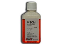 间充质干细胞培养基 MSCM（货号：7501）