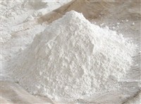 瑞格胺谷氨酸盐