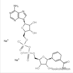 NADH(还原性辅酶I)