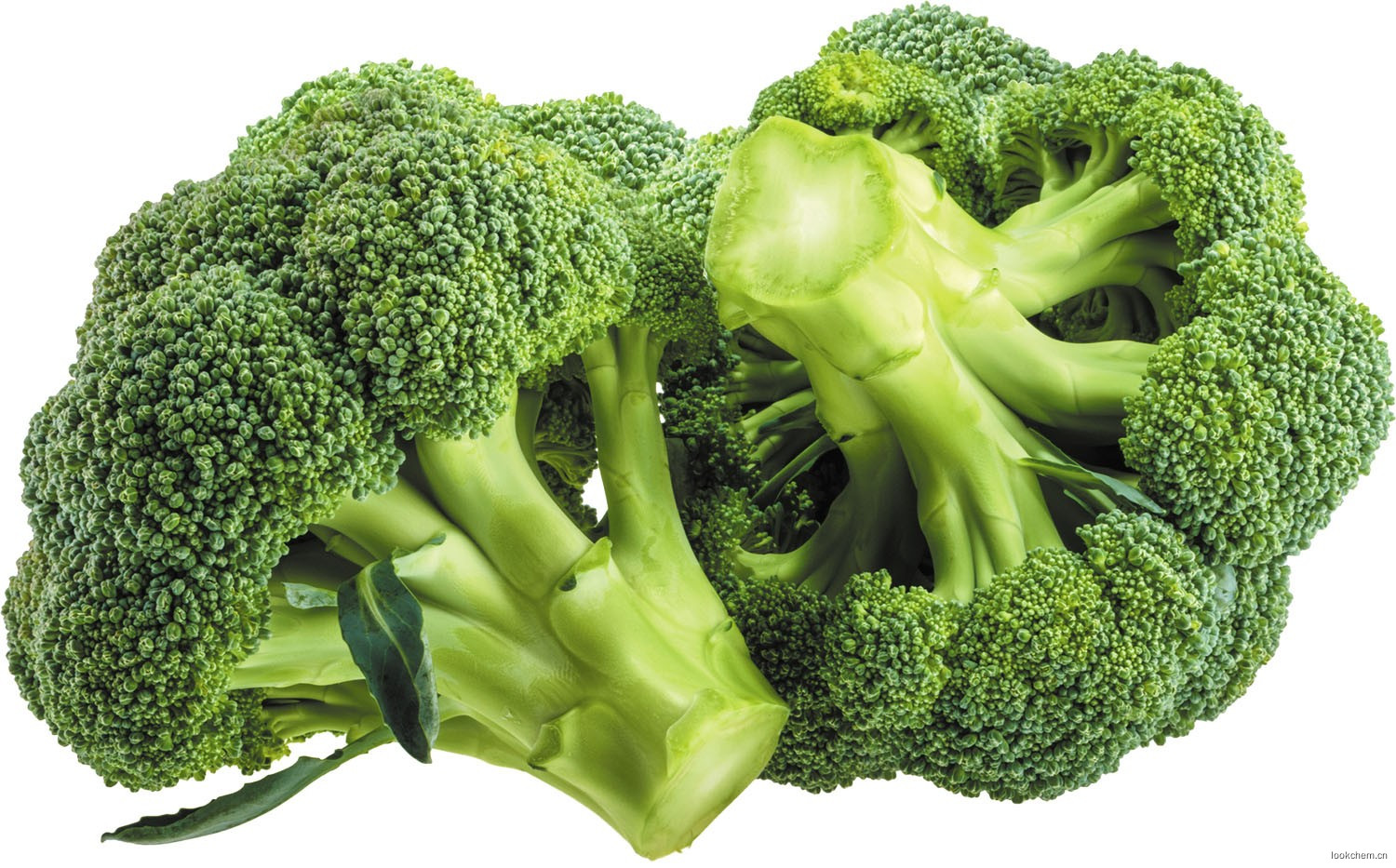 西兰花提取物 萝卜硫苷1%-30% 天然植物提取物 现货供应