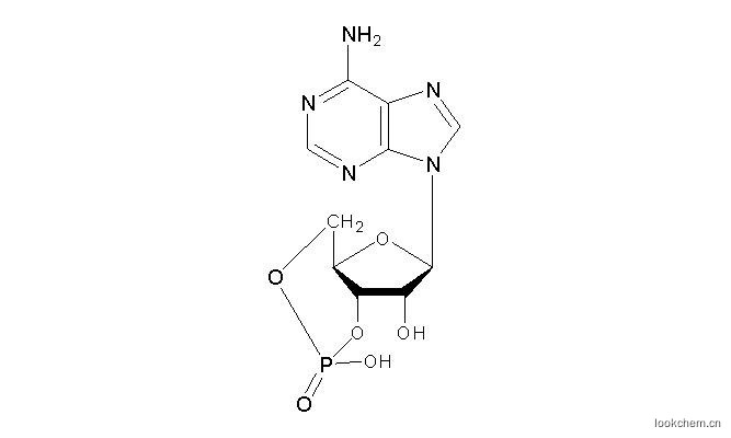 环磷腺苷