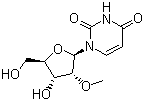 2'-甲氧基尿苷​