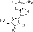 2-氯腺嘌呤核苷(2-氯腺苷)
