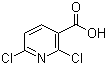 2,6-二氯烟酸 927959