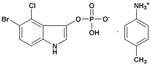 5-溴-4-氯-3-吲哚-磷酸二钠盐(对甲苯胺蓝)