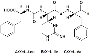 胰凝乳蛋白酶抑制剂 179328