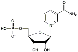 β-烟酰胺单核苷酸  978692