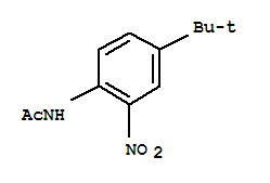 N-(4-叔丁基-2-硝基苯基)乙酰胺
