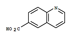  喹啉-6-羧酸