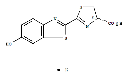 D-虫荧光素钾盐
