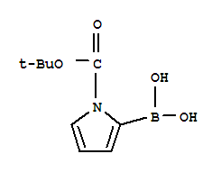 1-Boc-吡咯-2-硼酸; 1-叔丁氧羰基-2-吡咯硼酸