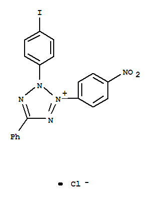 碘硝基氯化四氮唑蓝