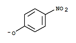 4-硝基苯酚阴离子