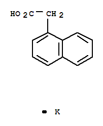1-萘乙酸钾 328663