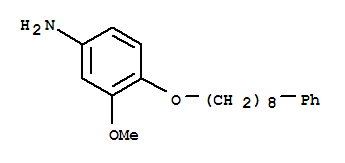 3-甲氧基-4-(8-苯基辛氧基)苯胺