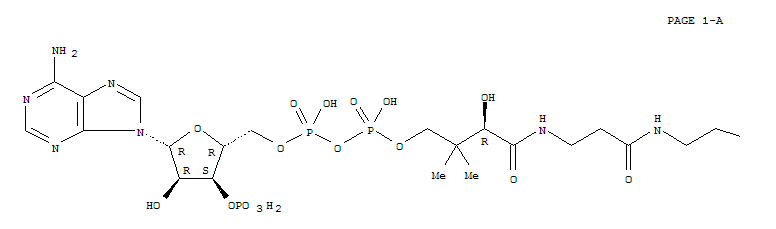 棕榈酰辅酶A,钾盐