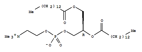 二肉豆蔻酰磷脂酰胆碱 173134