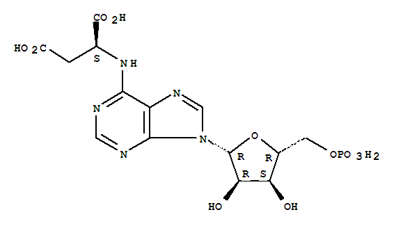 腺苷酸基琥珀酸