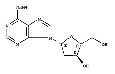 N6-甲基-2’-脱氧腺苷