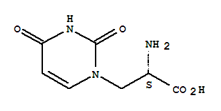 尿嘧啶基丙氨酸