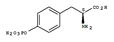 O-磷酸-L-酪氨酸