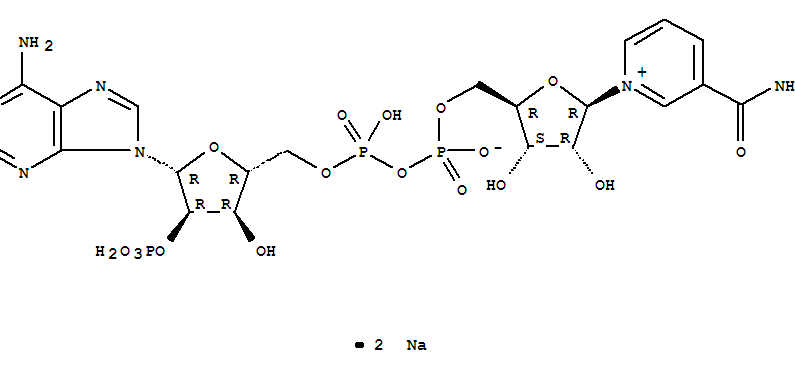 beta-烟酰胺腺嘌呤二核苷酸磷酸二钠盐