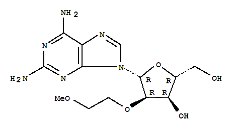 2-氨基-2-o-(2-甲氧基乙基)腺苷酸