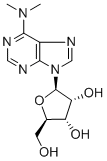 N6,N6-二甲基腺苷