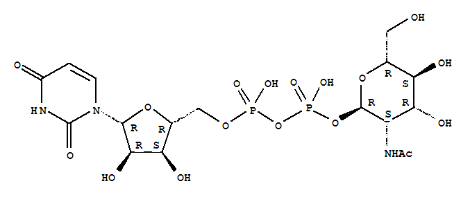 尿苷二磷酸酯 N-乙酰基甘露糖胺