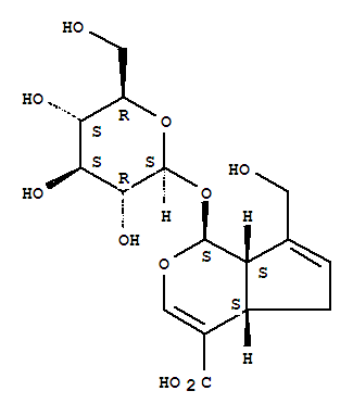京尼平苷酸 973504
