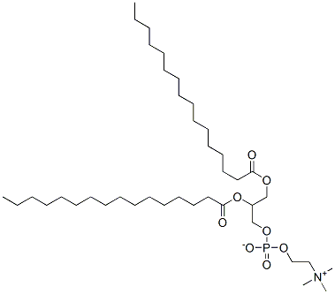 二棕榈酰磷脂酰胆碱(DPPC)