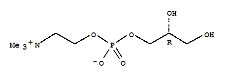 甘磷酸胆碱 GPC; 甘油磷酰胆碱
