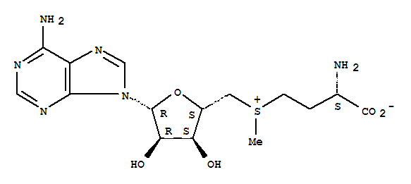 硫腺苷甲硫氨酸-1,4-丁二磺酸盐