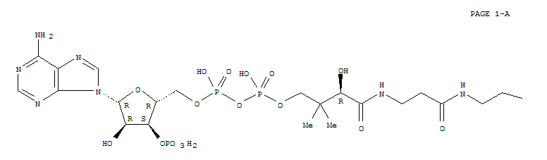 辅酶A二硫醚