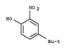 邻硝基对叔丁基苯酚