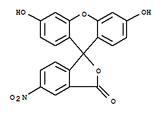 4-硝基荧光素