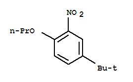 对叔丁基邻硝基苯丙醚; 4-叔丁基-2-硝基苯基丙基醚