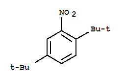 2,5-二叔丁基硝基苯