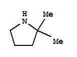 2,2-二甲基吡咯烷