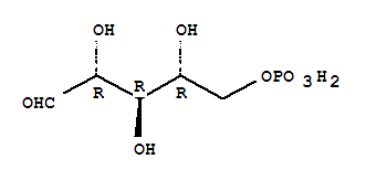 (2,3,4-三羟基-5-氧代戊基)磷酸二氢酯