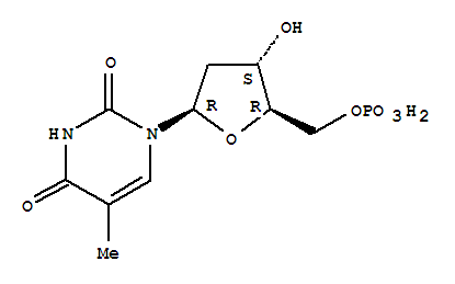 胸苷酸