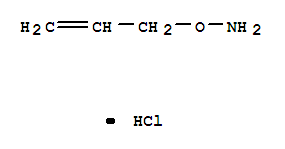 O-烯丙基羟胺盐酸盐