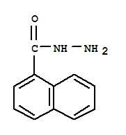 1-萘甲酸肼