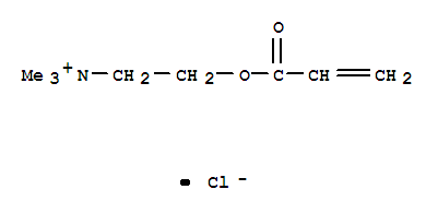 丙烯酰氧乙基三甲基氯化铵 555291