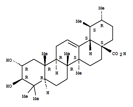 科罗索酸; 2-alpha-羟基熊果酸