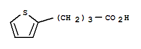 4-(2-噻吩)-丁酸
