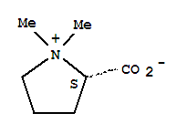 水苏碱; (2S)-1,1-二甲基吡咯烷-2-甲酸