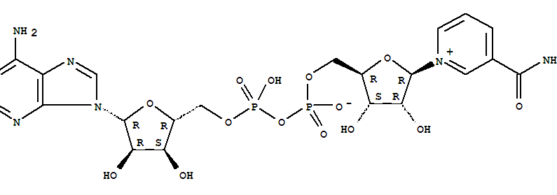 烟酰胺腺嘌呤单核苷酸