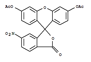 6-硝基-二乙酸荧光素